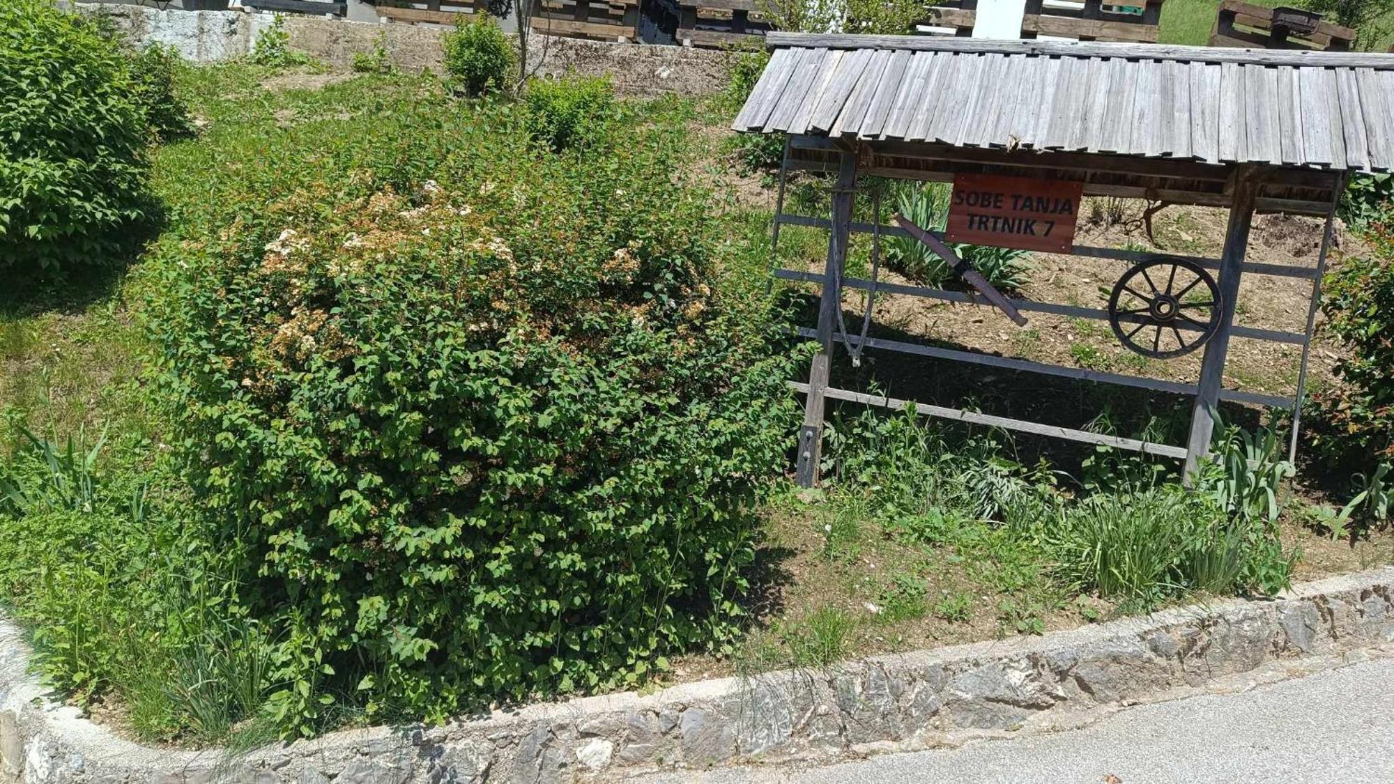 Podbrdo Sobe Tanja 아파트 외부 사진
